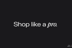 Shop like a Pro – Perplexity 推出的AI购物助手