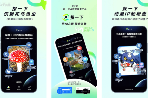 探一下 – 支付宝推出的新一代AI视觉搜索产品