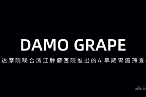 DAMO GRAPE – 阿里达摩院联合浙江肿瘤医院推出的早期胃癌识别模型