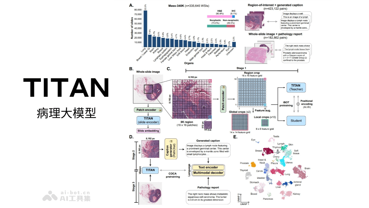 TITAN – 哈佛医学院研究推出的多模态全切片病理基础模型插图