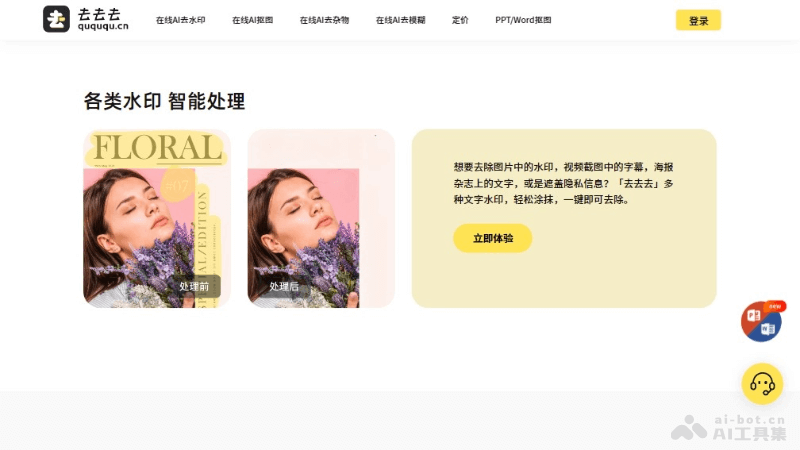 12个免费的AI去水印软件和工具，图片和视频在线去水印插图6