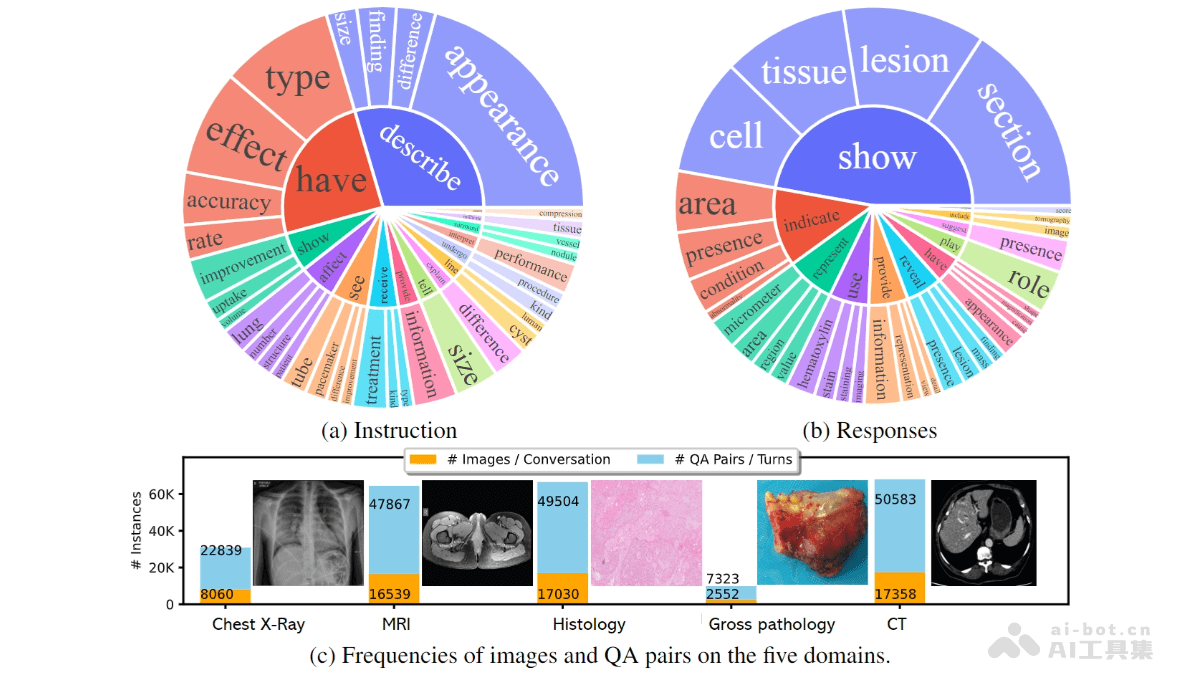 LLaVA-Rad – 微软推出的小型多模态模型，专注于临床放射学报告生成插图