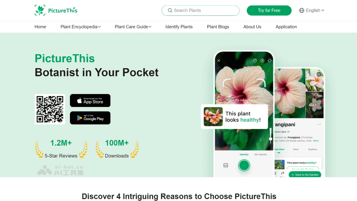 PictureThis – AI植物识别应用，能识别超过17000种植物插图