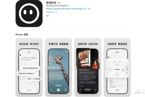 理想同学 – 理想汽车推出的 AI 智能助手