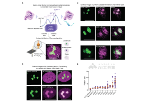 ProtGPS – 麻省理工学院等机构推出的蛋白质语言模型