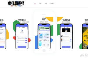 疯狂翻译师 – AI多模态翻译应用，提供文字、图片、文档和视频翻译服务