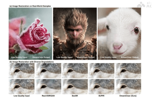 DreamClear – 中科院联合字节推出的高性能图像修复技术