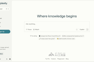 Perplexity – AI搜索引擎，使用聊天的方式进行搜索