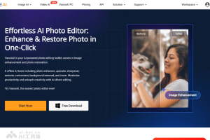 VanceAI – AI图像处理工具，支持图像增强、放大、去噪、锐化等功能