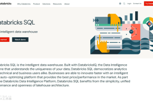 Databricks SQL – Databricks 推出的智能数据仓库产品