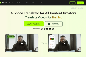 BlipCut – 在线AI视频翻译工具，支持130多种语言