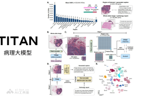 TITAN – 哈佛医学院研究推出的多模态全切片病理基础模型