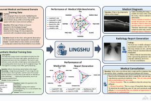 Lingshu – 阿里推出的医疗多模态语言模型