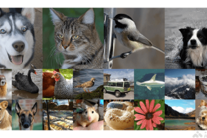 MAETok – 港大联合北大等机构推出的自动编码器