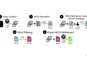 HourVideo – 李飞飞和吴佳俊团队推出的长视频理解基准数据集