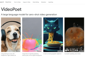 VideoPoet – 谷歌推出的AI视频生成模型