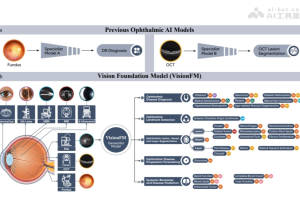 VisionFM – 通用眼科AI大模型，具备少样本多种疾病诊断能力
