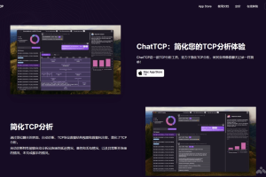 ChatTCP – TCP协议分析工具，基于聊天界面自动进行诊断和分析