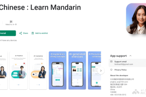 AI Chinese – AI双语教中文应用，模拟中国真人老师在线授课