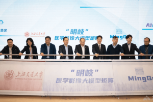 明岐 – 上海交大推出的医学多模态大模型，精准诊断罕见病