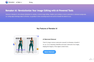 Remaker – AI图像编辑工具，自动识别去除图片上的水印