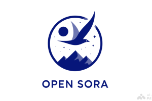 Open-Sora 2.0 – 潞晨科技开源的AI视频生成模型