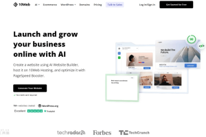 10Web- AI驱动的零编码技能构建网站和管理的平台