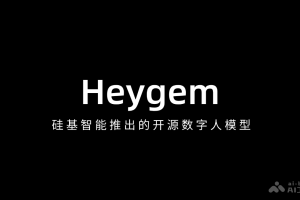Heygem – 硅基智能推出的开源数字人模型