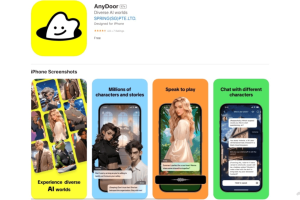 AnyDoor – 字节推出面向海外的AI虚拟社交平台