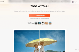 DeWatermark – 在线AI去水印工具，自动检测水印与去除