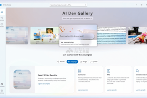 AI Dev Gallery – 微软推出面向Windows开发者本地运行AI模型的开源工具