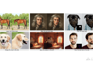 InstructMove – 东京大学联合 Adobe 推出基于指令的图像编辑模型