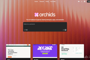 Orchids – AI全栈开发工具，生成完整应用与网站