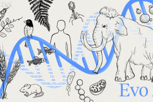 Evo 2 – Acr研究所联合英伟达、斯坦福等推出的生物学AI模型