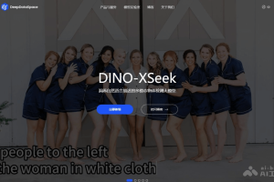 DINO-XSeek – IDEA 研究院推出的多模态目标检测模型